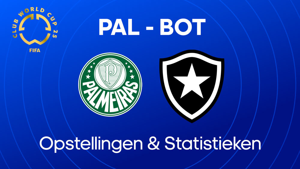 palmeiras botafogo opstellingen statistieken