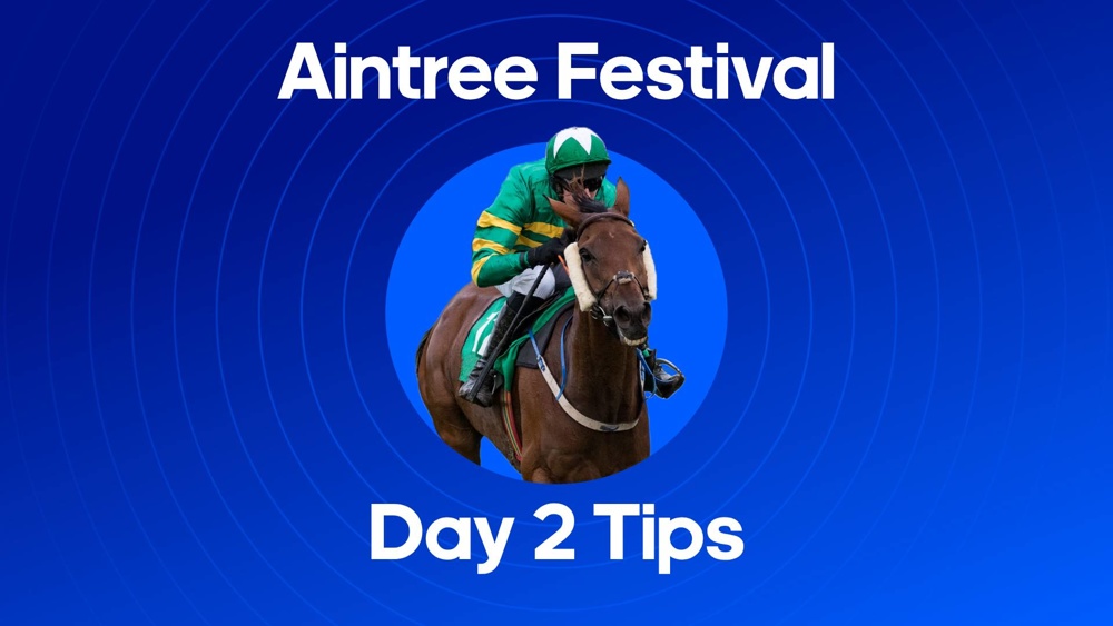 image of a horse with text saying 'Aintree Festival Tips Day 2'