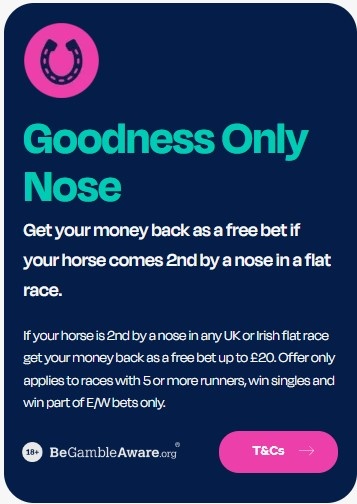 BresBet Goodness Only Nose