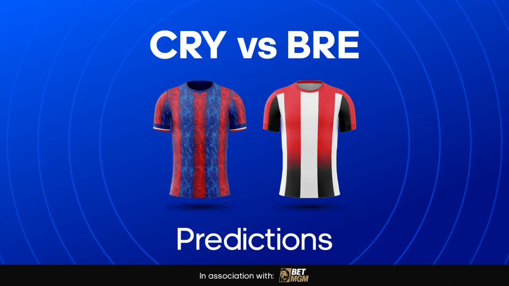 Crystal Palace vs Brentford Image