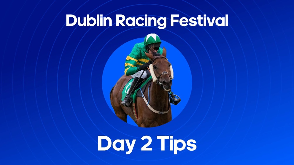 image of a horse and text saying 'dublin racing festival day 2 tips'