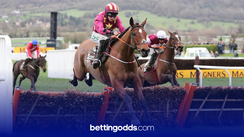 Betting Stories: What a week it's been