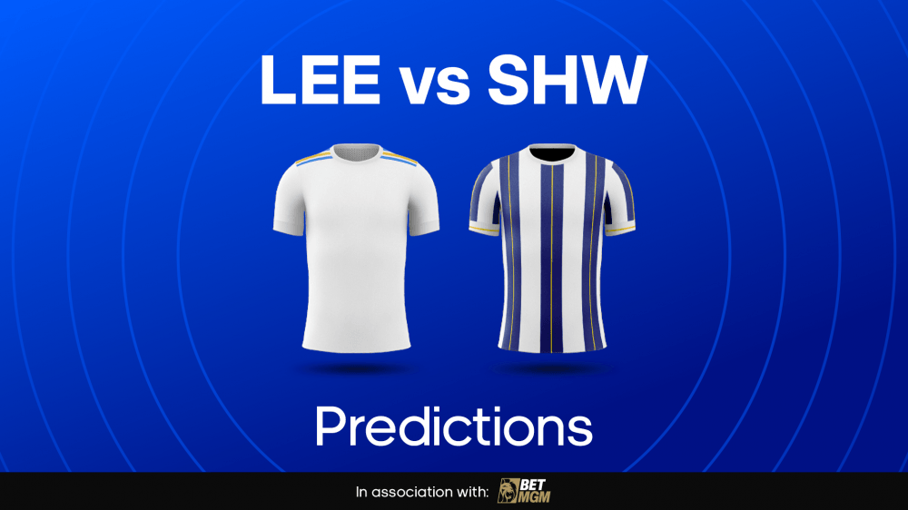 Leeds vs Sheffield Image