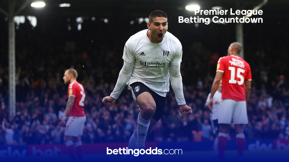 Fulham Premier League Odds: The west Londoners are back in the top-flight after winning the play-offs