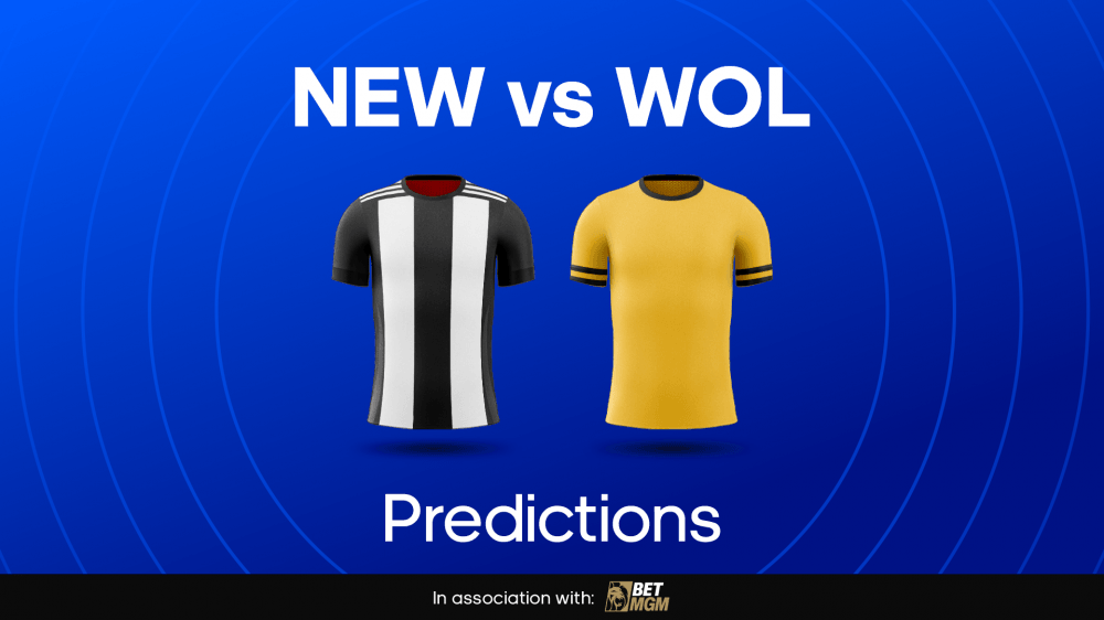 Newcastle vs Wolves Image
