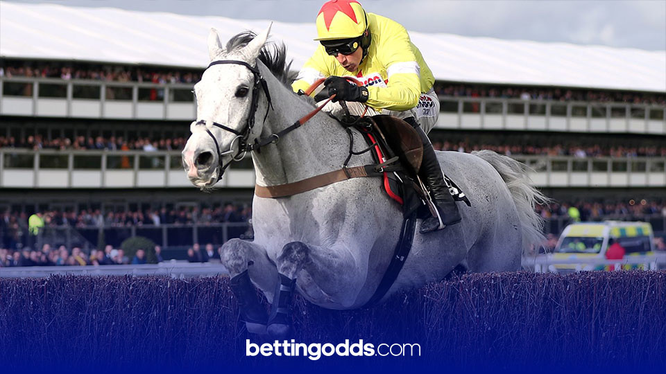 Aintree Day 2 Tips: Politologue runs in the Melling Chase