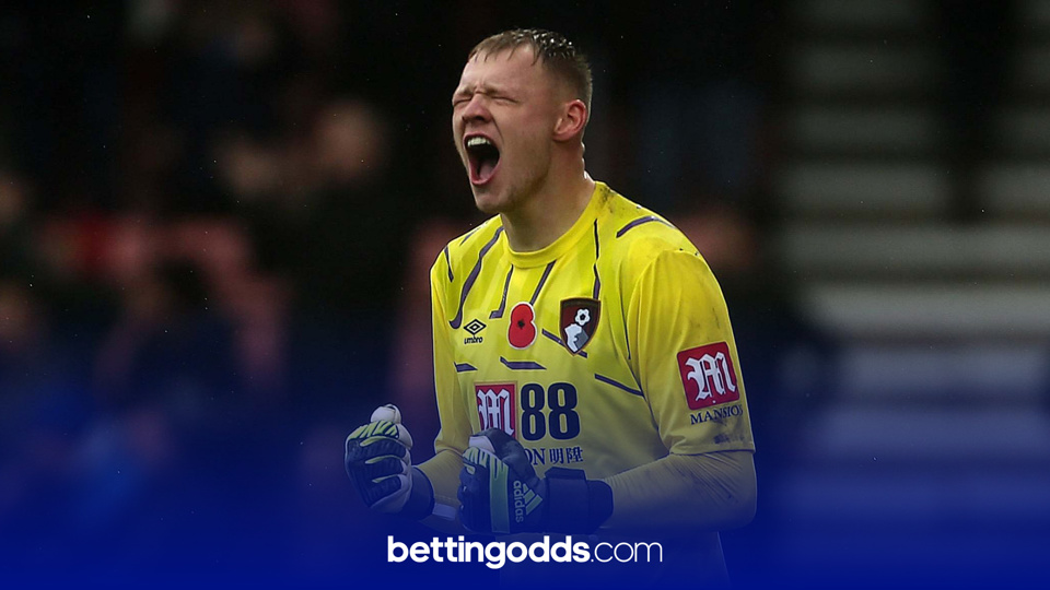 Aaron Ramsdale cost Bournemouth just £46 per minute last season