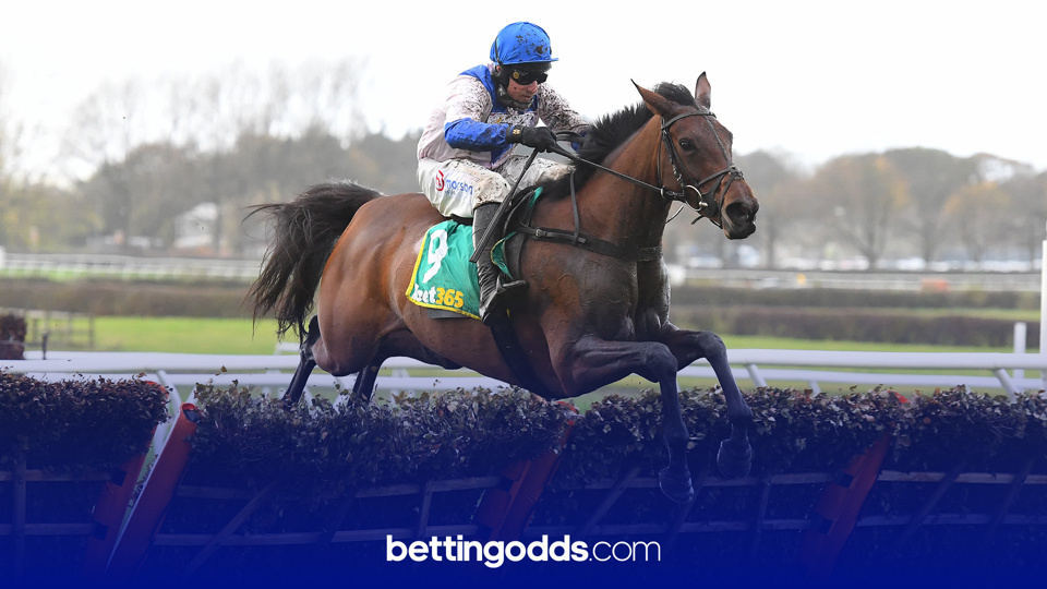 Roksana tipped to win the Mares' Hurdle at the Cheltenham Festival