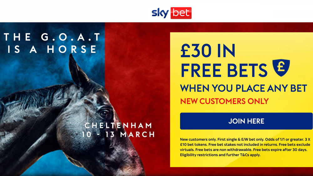 sky bet cheltenham