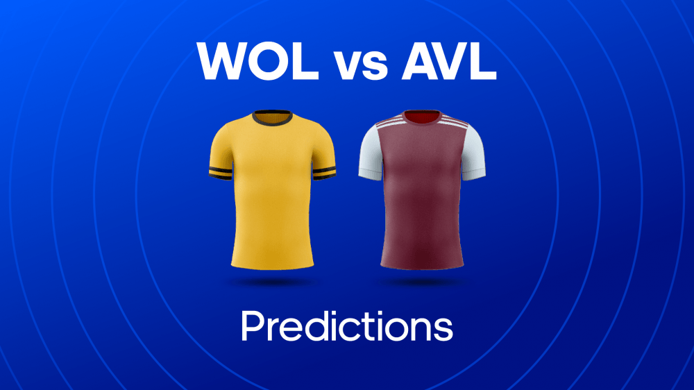 Wolves vs Aston Villa Image