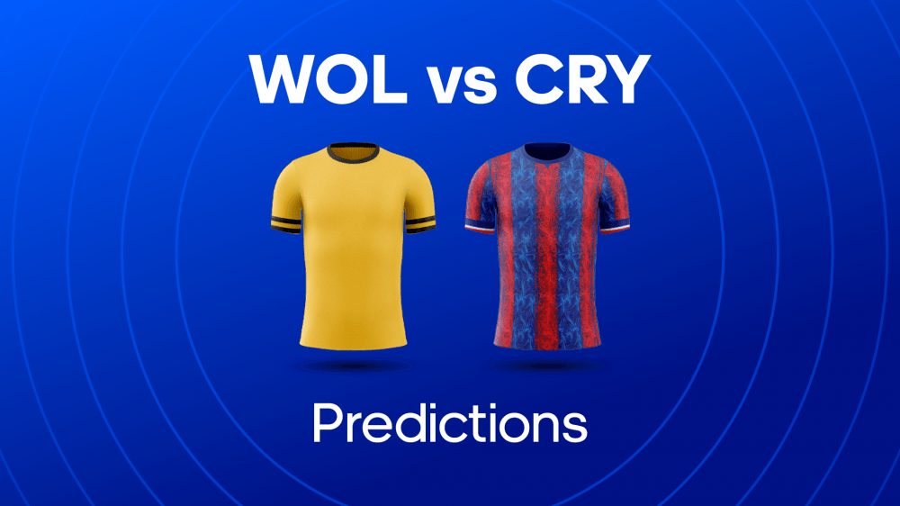 Wolves vs Crystal Palace Image
