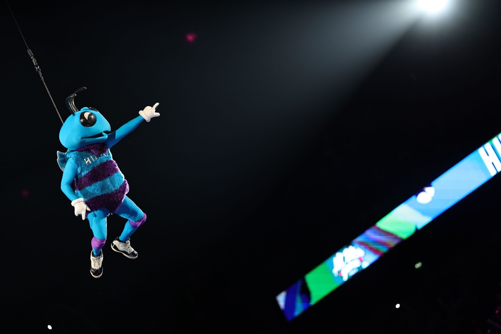 Mascot NBA Charlotte Hornets during the All-Star Game LNB 2023, Basketball match between Team France and Team World on December 30, 2023 at Accor Arena in Paris, France - Image ID: 2W9Y75R
