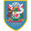 cardiff flag
