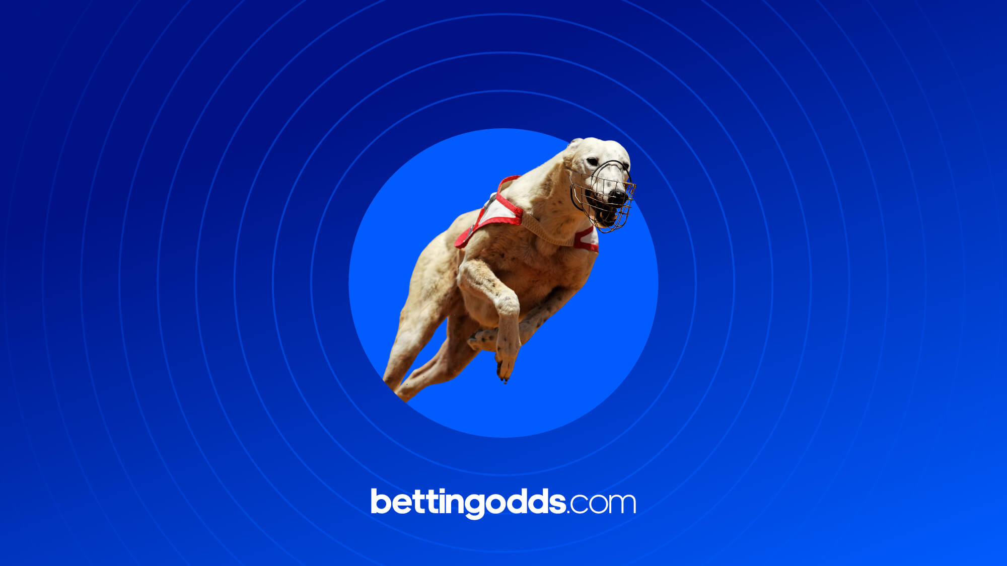 Greyhound Trainers for UK Dog Racing Trainers List AZ